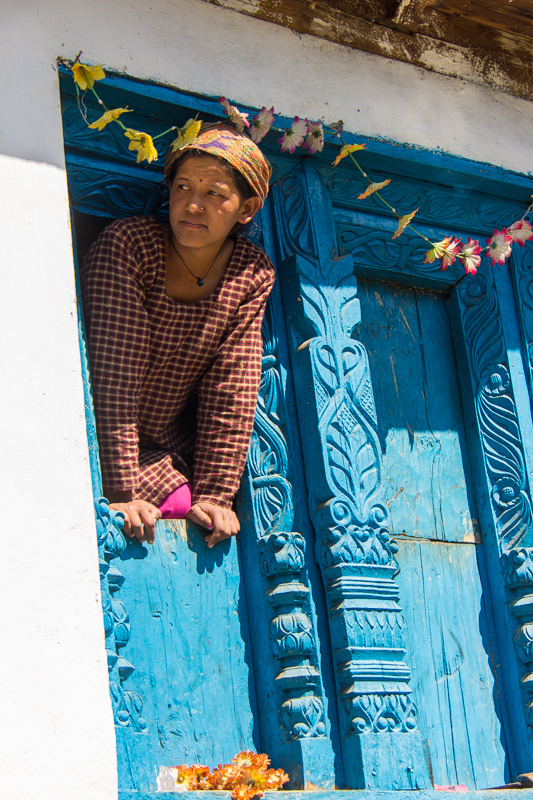 Paysage verdoyant des collines du Kumaon avec sommets himalayens en arriere-plan