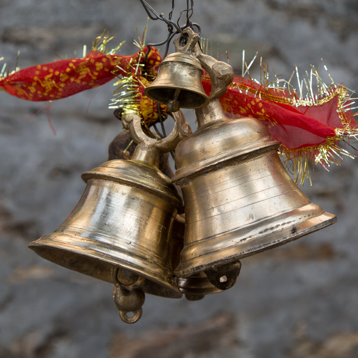 Végétation luxuriante du Kerala