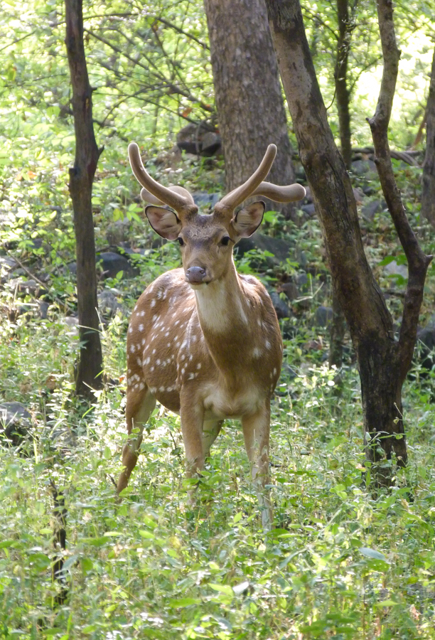 Lever de soleil sur le parc national